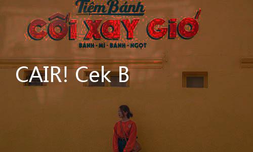 CAIR! Cek Besaran Dana Bansos 2025, Honor Pendamping Sosial Lancar Jaya!