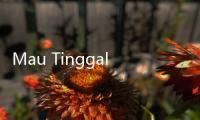 Mau Tinggal di Luar Negeri? Ini Daftar Kota Terfavorit untuk Dihuni