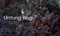 Untung Rugi Vasektomi yang Diusulkan Demul Jadi Syarat Penerima Bansos
